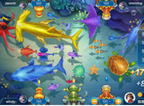 500welcome购彩入口2024最新版